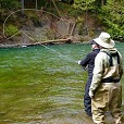 Fly Fishing